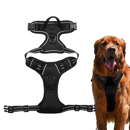 Anti-Evasion-Hundekabelbaum | Reflektierender Gurt ohne Traktion | Sichern Sie Gurt ohne mit 2 Leinenklammern | Verstellbarer und bequemer Gurt für kleine, mittlere und große Hunde Anti-Evasion-Hundekabelbaum | Reflektierender Gurt ohne Traktion | Sichern Sie Gurt ohne mit 2 Leinenklammern | Verstellbarer und bequemer Gurt für kleine, mittlere und große Hunde von Zunishaone