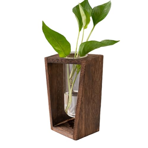 Anzuchtstationen für Reagenzrohre – Terrarium-Set mit Ständer aus Holz, transparentes Vasen-Set | Rohrgestell für den Garten, Büro, Anzeige von Fensterblumen, zur Vermehrung Anzuchtstationen für Reagenzrohre – Terrarium-Set mit Ständer aus Holz, transparentes Vasen-Set | Rohrgestell für den Garten, Büro, Anzeige von Fensterblumen, zur Vermehrung von Zunishaone