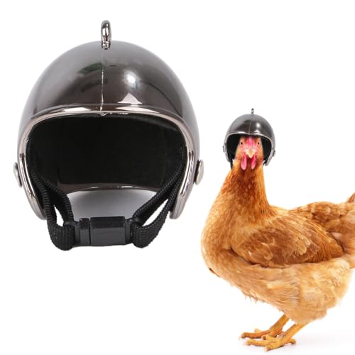 Hühnerkopfhörer: Sicherheitshelme für Tiere, Stoßschutz für Hühner, und kleine Vögel, lustige Hüte, Kostümzubehör und lustige Kostüme Hühnerkopfhörer: Sicherheitshelme für Tiere, Stoßschutz für Hühner, und kleine Vögel, lustige Hüte, Kostümzubehör und lustige Kostüme von Zunishaone