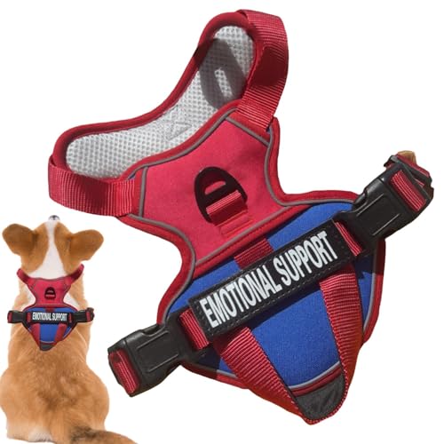 Hunde Brustkabelbaum - Anti -Traktion -Weste | Einstellbarer Wanderkabelbaum mit Sicherheitsgurt, ergonomisches Design für Hundekomfort, ideal für Spaziergänge, Training und Wandern Hunde Brustkabelbaum - Anti -Traktion -Weste | Einstellbarer Wanderkabelbaum mit Sicherheitsgurt, ergonomisches Design für Hundekomfort, ideal für Spaziergänge, Training und Wandern von Zunishaone