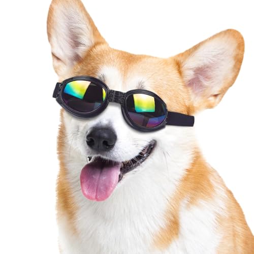 Hundebrille, Sonnenbrille mit UV -Schutz, Verstellbarer Riemen, optimaler Komfort | Ideal zum Schutz der Augen von Hunden und Welpen, Tierzubehör, Plei -Ausgang Hundebrille, Sonnenbrille mit UV -Schutz, Verstellbarer Riemen, optimaler Komfort | Ideal zum Schutz der Augen von Hunden und Welpen, Tierzubehör, Plei -Ausgang von Zunishaone