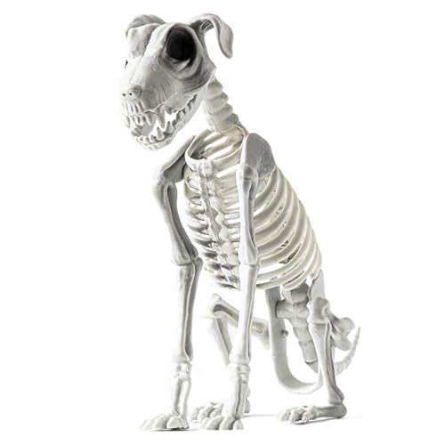 Skeleton Dog Halloween - Schädeldekoration mit gruseligen Knochen, kreative Statue des Welpenskeletts | wiederverwendbare PP-Konstruktion mit exquisiten Details, Garten, CON von Zunishaone