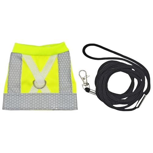 Vogelfliege Kleidung Weste - Papageiengurt -Traininganzug, Sonnenschutz -Flugabdeckung Kee | Leichtes Reisegurt Kleidungsstück, Flexible Sicherheitsausrüstung Im Freien, Ein Sicheres Stilvolles Gleito von Zunishaone