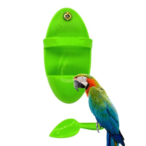Zunishaone Fiene -Knochenunterstützung für Sittiche | Feuriger Halter für Vogelkäfig | Käfigzubehör Power Cup für Sittiche, Clots, Pinsons, exotische Vögel Zunishaone Fiene -Knochenunterstützung für Sittiche | Feuriger Halter für Vogelkäfig | Käfigzubehör Power Cup für Sittiche, Clots, Pinsons, exotische Vögel von Zunishaone