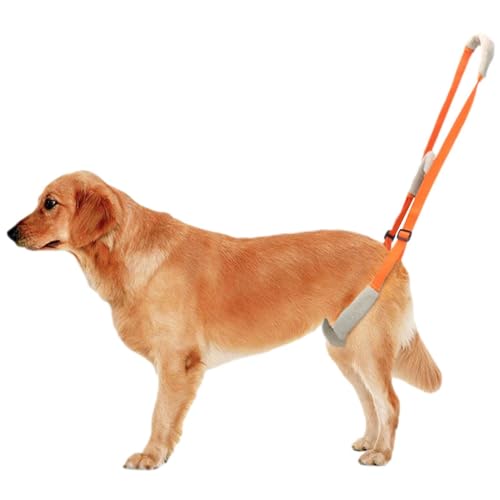 Zunishaone Hundeschlinge für hintere Beine, Hundebeinstütze für Hinterbeine - Einstellbare Welpen hintere Beine unterstützen Lifter - Heben Sie die Schlinge für ältere Hunde mit reduzierter Mobilität, Zunishaone Hundeschlinge für hintere Beine, Hundebeinstütze für Hinterbeine - Einstellbare Welpen hintere Beine unterstützen Lifter - Heben Sie die Schlinge für ältere Hunde mit reduzierter Mobilität, von Zunishaone