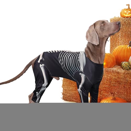 Zunishaone Kleines Hundekostüm - Skelett Hundekleidung,Haustier Halloween Bodysuit Für Outdoor Freunde Cosplay Reisen Feste Fotos Zunishaone Kleines Hundekostüm - Skelett Hundekleidung,Haustier Halloween Bodysuit Für Outdoor Freunde Cosplay Reisen Feste Fotos von Zunishaone
