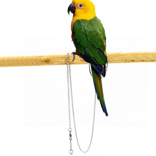 Zunishaone Parrot Foot Chain - Knöchelring aus Edelstahl für, tragbarer und sicherer Fußring, Tierversorgung, Sicherheitsbehörde für Perücken, Schläger und Betrug von Zunishaone