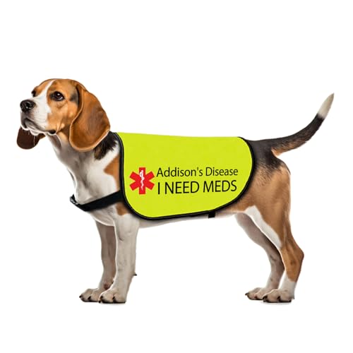 Addisons Krankheit Hundejacke Weste Addisons Disease I Need Meds Hundegeschirr Hohe Sichtbarkeit Medizinischer Alarm Hundeumhang (Addison's Disease-Medium) von Zuo Bao