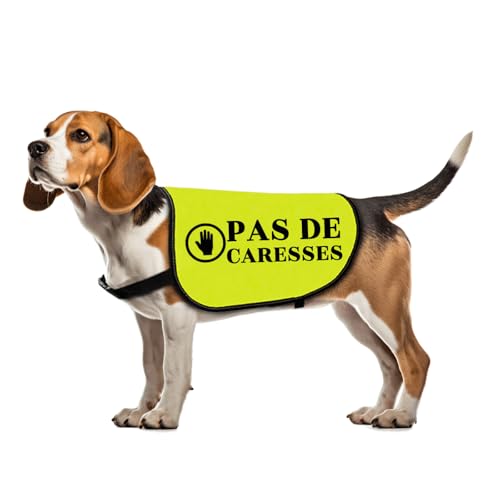 Hunde-Jacke mit Spruch, Pas De Caresses, Hunde-Trainer, Geschenk, Warnung für Spaziergänge, Größe L von Zuo Bao
