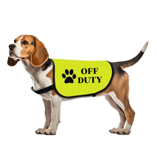 Lustige, lässige Hundejacke mit Spruch, Geschenk für soziale Distanzierung, Geschenk für nervöse Hunde, Größe L von Zuo Bao