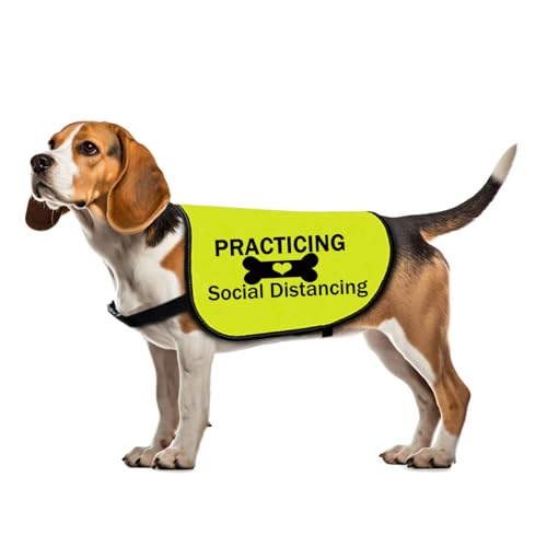Lustige Hundejacke, zum Üben von Social Distancing, Hundeslogan für Haustiere (Practicing Social Large) von Zuo Bao