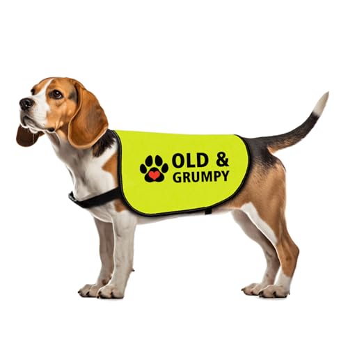 Lustige Hundejacke mit Aufschrift "Old & Grumpy Dog", englische Aufschrift "Old & Grumpy Dog", Geschenk für nervöse Hunde, Größe M (alt und mürrisch) von Zuo Bao