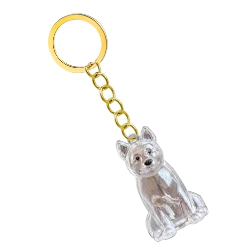 Clear Pet Hair Preservations Keychain Memorial Display Hülle Mit Gesicherten Versiegelungsverlust Schlüsselring Design Hunde Schmuck Box Wasserdichte Speicherschlüsselrasse Memory Keychain Gift von Zuoeay