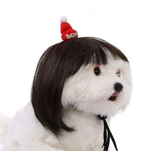 Haustier Perücken Katzen Kostüm Kopfbedeckung Hochtemperatur Glasfaser Haar Perücken Leicht Zu Tragen Für Urlaubsfeierlichkeiten Weihnachten Hunde Hat Pet Party Outfit von Zuoeay