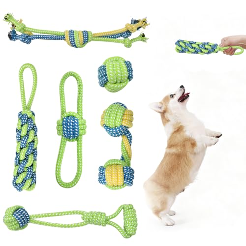Zuxbolf 6 Stück Hundespielzeug Seil Seilspielzeug für mittelgroße und kleine Hunde Kauspielzeug Tauziehspielzeug unzerstörbar Hundekauspielzeug Welpen Interaktives Spielzeug für Hunde Zahnpflege von Zuxbolf