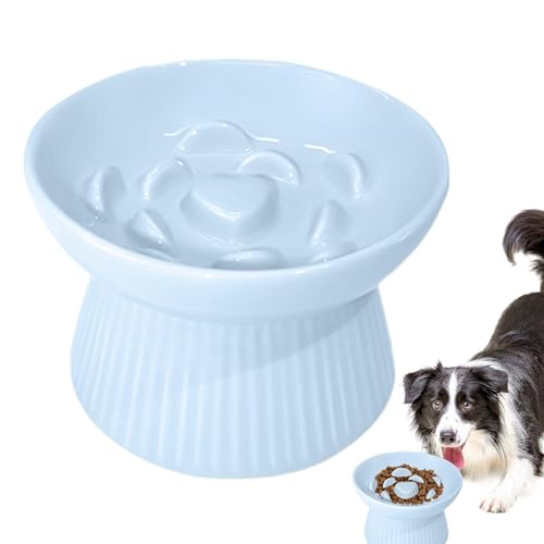 Katzenfutterständer, Keramik-Katzen-Wassernapf – robuster Katzennapf, Keramik-Katzen-Wassernapf, Katzenzubehör, Haustierzubehör für kleine bis mittelgroße Haustiere Katzenfutterständer, Keramik-Katzen-Wassernapf – robuster Katzennapf, Keramik-Katzen-Wassernapf, Katzenzubehör, Haustierzubehör für kleine bis mittelgroße Haustiere von Zvn Zojne