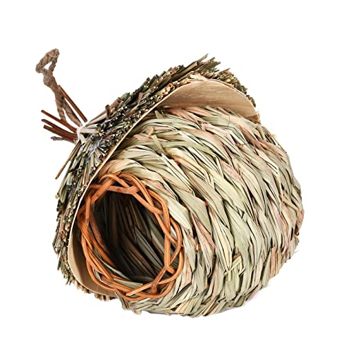 Kolibri-Nest, handgewebte Kolibrihäuser – Hängen Sie ein Vogelnest aus natürlichem Schilf auf, handgefertigte Hütte für Vogelliebhaber, Gartendekorationen, Vogelbeobachtung Kolibri-Nest, handgewebte Kolibrihäuser – Hängen Sie ein Vogelnest aus natürlichem Schilf auf, handgefertigte Hütte für Vogelliebhaber, Gartendekorationen, Vogelbeobachtung von Zvn Zojne