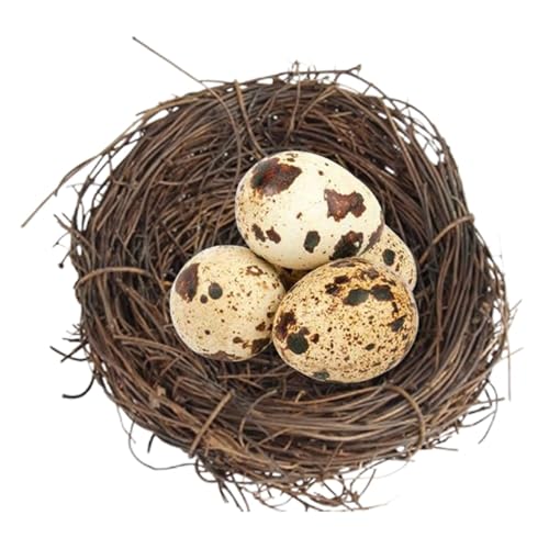 Rattan-Vogelnester – handgefertigtes Vogelnest | gewebtes Vogellukenhaus Käfig | Vogelzucht & Laichnest | Gemütliches Ostervogelnest Bett Haus für Tauben Kaninchen Hamster Chinchillas von Zvn Zojne