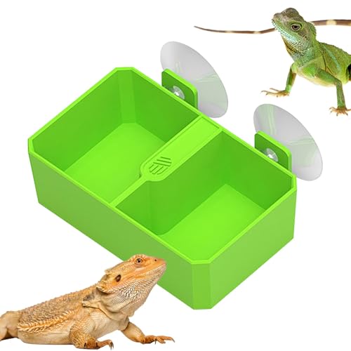 Reptilien-Futternapf – -Futternapf mit 2 Fächern, Reptilien-Futterschale mit abnehmbarem Saugnapf, Reptilien-Futternapf, Reptilien-Wassernapf für Gecko, , Bartschlange von Zvn Zojne