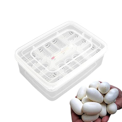Reptilienzuchtkasten, 16 Gitter Transparent Reptilieneier Inkubator Inkubationsbox für Reptilieneierentwicklung, Schlüpfkoffer, Schlüpfschale von Zvn Zojne