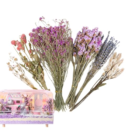 Zvn Zojne Hamsterblumenstreu – Kleintier-Blumen, Lebensraum-Dekoration, Mäuse-Lebensraum-Dekoration, natürliches Thema, Käfig-Hamster-Bettwäsche für -Rennmäuse Zvn Zojne Hamsterblumenstreu – Kleintier-Blumen, Lebensraum-Dekoration, Mäuse-Lebensraum-Dekoration, natürliches Thema, Käfig-Hamster-Bettwäsche für -Rennmäuse von Zvn Zojne