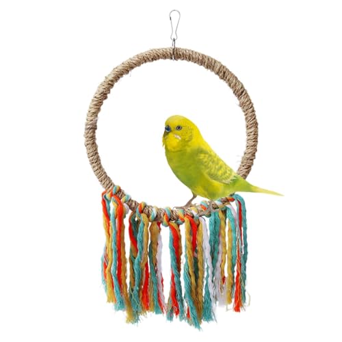 Zvn Zojne -Seil, buntes Seil, Vogel-Seilkreise, Vogelkäfig-Spielzeug mit Aufhängung, Vogelseil-Spielzeug für , Sittiche, Sittiche, Nymphensittiche Zvn Zojne -Seil, buntes Seil, Vogel-Seilkreise, Vogelkäfig-Spielzeug mit Aufhängung, Vogelseil-Spielzeug für , Sittiche, Sittiche, Nymphensittiche von Zvn Zojne