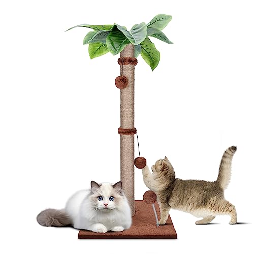 Kratzbaum für Katzen, 85 cm, hoch, mit zwei interaktiven hängenden Bällen, Sisal-Kratzbaum mit Federball, Spielzeug für Indoor-Kätzchen und Katzen von Zvonema