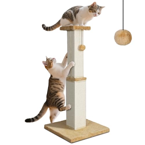 Zvonema Kratzsäule, Kratzbaum, 78 cm Hoch, Natürlichem Sisalstamm Kratzstamm, Katzenkratzbaum stabil mit Interaktiven Plüschball, Katzenbaum für Mittelgroße und Klein Katzen, Indoor Zvonema Kratzsäule, Kratzbaum, 78 cm Hoch, Natürlichem Sisalstamm Kratzstamm, Katzenkratzbaum stabil mit Interaktiven Plüschball, Katzenbaum für Mittelgroße und Klein Katzen, Indoor von Zvonema