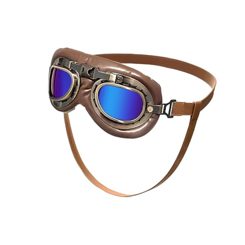Schützende Hundesonnenbrille mit antikem ästhetischem Polycarbonat, bequem für Strand, Wandern, Retro-Hund Schützende Hundesonnenbrille mit antikem ästhetischem Polycarbonat, bequem für Strand, Wandern, Retro-Hund von ZwaitL