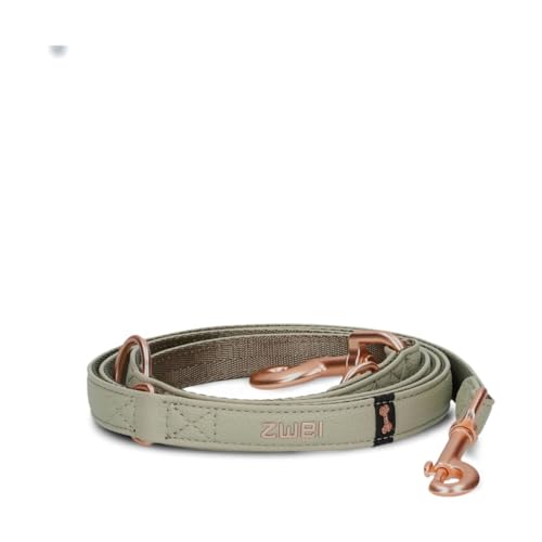 Hundeleine Leo LE20 für kleine bis mittelgroße Hunde bis 50 kg zugfest, 2m Lange Multifunktionsleine wetterfest, 3-Fach Größen verstellbare Leine, schöne pulverbeschichtete Karabiner (Jade) von Zwei