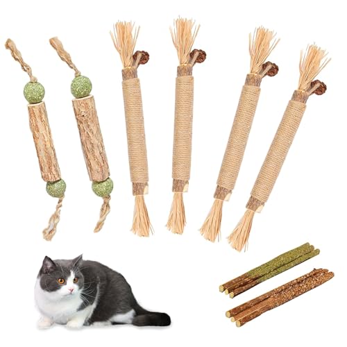 Zydiwo 12 Stück Katzenminze Sticks Set Matatabi Stick Katze Katzen Kaustangen Sticks für Kätzchen Zähne Reinigen Appetit Erhöhen Angst und Stress Lindern (Stil 4) von Zydiwo