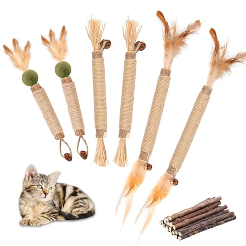 Zydiwo 21 Stück Katzenminze Sticks Set Matatabi Stick Katze Katzen Kaustangen Sticks für Kätzchen Zähne Reinigen Appetit Erhöhen Angst und Stress Lindern (Stil 1) von Zydiwo