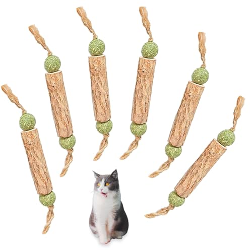 Zydiwo 6 Stück Katzenminze Sticks Set Matatabi Stick Katze Katzen Kaustangen Sticks für Kätzchen Zähne Reinigen Appetit Erhöhen Angst und Stress Lindern (Stil 3) von Zydiwo