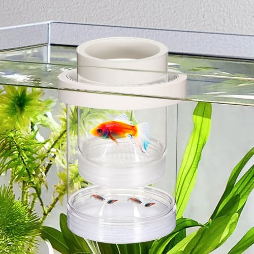 Aufzuchtbecken Aquarium, Schwimmender Ablaichkasten Aquarium Kunststoff Doppelstöckiger Aquarien Isolationsbox Transparent Aquarien Zuchtbecken für Babyfische Garnelen Clownfische Guppy Aufzuchtbecken Aquarium, Schwimmender Ablaichkasten Aquarium Kunststoff Doppelstöckiger Aquarien Isolationsbox Transparent Aquarien Zuchtbecken für Babyfische Garnelen Clownfische Guppy von Zyghjort
