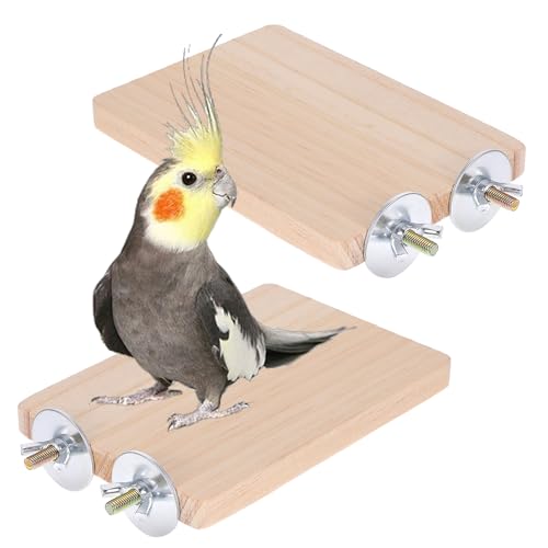 2 Stück Holz Vogelplattform, Plattform Für Haustiere Papageien Papagei Plattform Papageien-Sitzplattform Holz Flache Plattforms Für Vogelkäfige, Sittiche, Conures, Finken, Wellensittiche, 13×9 cm von Zyghjort