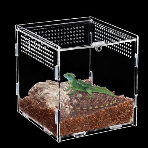 Zyiphor Acryl Terrarium Schnecken Tragbares Reptil Fütterungsbox Reptilien Terrarium Box Mini Terrarien Transportbox Insekten Terrarien (15×15×15cm) von Zyiphor
