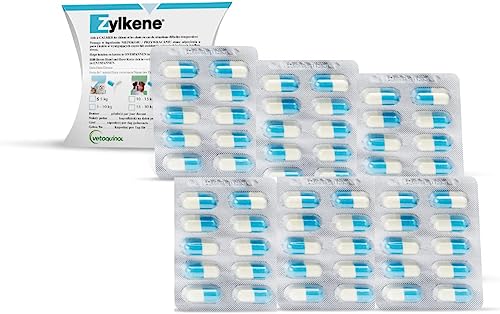 Zylkene Vetoquinol Kapseln 75 mg | 60er Pack | 6 x 10 Kapseln | Ergänzungsfuttermittel für Hunde | Kann dabei helfen Hunde in ungewohnten Situationen zu unterstützen von Zylkene