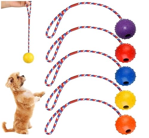 Zyluniy 5 Stück Wurfball Hund Hundespielzeug, ø 5 X 30cm Hundeball mit Schnur, Naturkautschuk Ball für Hunde, wurfspielzeug Hund für Große & Kleine Hunde Werfen Zyluniy 5 Stück Wurfball Hund Hundespielzeug, ø 5 X 30cm Hundeball mit Schnur, Naturkautschuk Ball für Hunde, wurfspielzeug Hund für Große & Kleine Hunde Werfen von Zyluniy