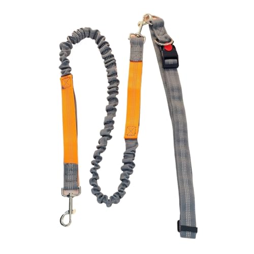 1 Multi-Functional Elastic Running Traction Rope for Outdoor Sports Dog Walking Special Dog Rope, Dog Chain für Walking, Wandern, Training, Jogging(Color4) von Zymjzbetic
