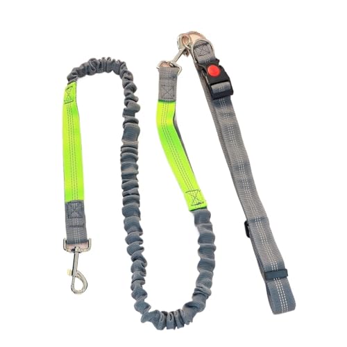 1 Multi-Functional Elastic Running Traction Rope for Outdoor Sports Dog Walking Special Dog Rope, Dog Chain für Walking, Wandern, Training, Jogging(Color5) von Zymjzbetic