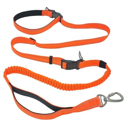 Hands Free Dog Leash 6 in 1 Waist Dog Lead Adjustable Bungee Dog Leash with Nylon Double Handle for Walking/Running/Training für Walking, Wandern, Training, Jogging(Orange) von Zymjzbetic