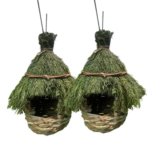 Zymoplas 2 Vogelhäuschen, Vogelhaus, Vogelhausdekoration, Vogelhäuschen, stabiles Material, Nicht für Lange Zeit, Form, für Wald Zymoplas 2 Vogelhäuschen, Vogelhaus, Vogelhausdekoration, Vogelhäuschen, stabiles Material, Nicht für Lange Zeit, Form, für Wald von Zymoplas
