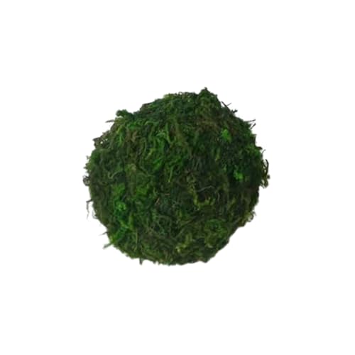 Zymoplas Erhellen Sie den Tag der Haustiere – Buntes rollendes Kauspielzeug für kleine Tiere. Kleine Tiere Spielen Bälle, kauen Gräserbälle, Strohball, Moosball, 7 cm von Zymoplas