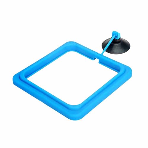 Zymoplas Futterspender für Wasserpflanzen, quadratisch, Kreis, blau, verstellbar, um 180 ° Grad, Aquarium, handfrei, Futterring Zubehör, Quadrat Zymoplas Futterspender für Wasserpflanzen, quadratisch, Kreis, blau, verstellbar, um 180 ° Grad, Aquarium, handfrei, Futterring Zubehör, Quadrat von Zymoplas