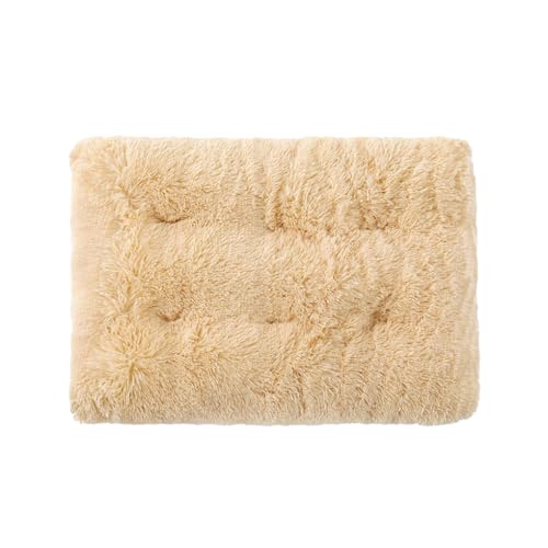 Zymoplas Kissen für Hundebett – bequem und weich, langlebig und langlebig, Hundekäfigbett, Hundebettmatte, Hundekissen, Haustierbett, Aprikose, XS von Zymoplas
