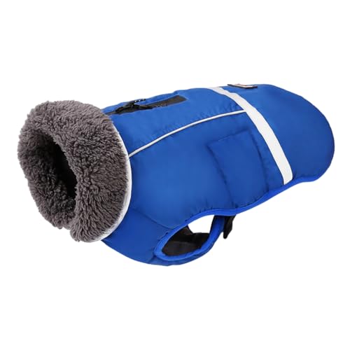 Zymoplas Stilvoller und praktischer Haustiermantel mit wasserdichter Beschichtung, Nylon Hundewinterkleidung, Hundewinterjacke, Welpentuch, Blau, M Zymoplas Stilvoller und praktischer Haustiermantel mit wasserdichter Beschichtung, Nylon Hundewinterkleidung, Hundewinterjacke, Welpentuch, Blau, M von Zymoplas