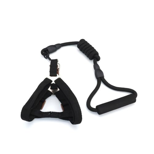 Zymoplas Verstellbare Schweinegeschirrleine Faltbare Mini Gehgeschirre Tragbare Leinen Sicherer Gürtel Outdoor Bleiseil für das Training, Schwarz, Größe: 0.8 x 120 cm Zymoplas Verstellbare Schweinegeschirrleine Faltbare Mini Gehgeschirre Tragbare Leinen Sicherer Gürtel Outdoor Bleiseil für das Training, Schwarz, Größe: 0.8 x 120 cm von Zymoplas
