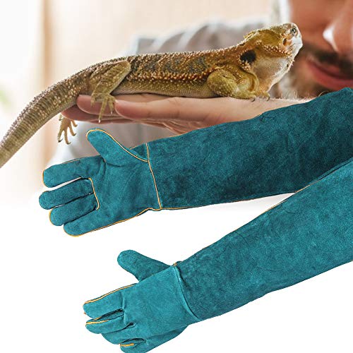 Zyyini (Blau Reptilien-Schutzhandschuhe, Hochfeste Anti-Biss-, für Varanid-Katzen (Blau) von Zyyini