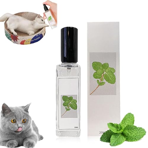 Zzlkun Herbal Cat Joy, Kräuterfreude, Sellerie, PetsSpray, Katzenminze-Spray für Hauskatzen, lindert Angst von Katzen, verbessert die Vitalität des Haustiers (1 Stück) (1 Stück) von Zzlkun