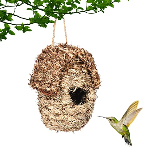 a-r Kolibri-Haus für Außenbehänge | Kolibri-Nest für Indoor-Baum im Freien - Fink-Vogelhaus für Garten-Außendekoration A2/b4 von a-r